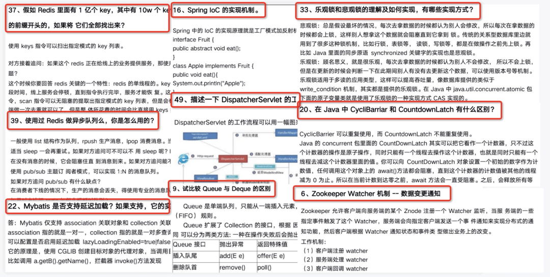 2025精准免费资料大全,精选解析、解释与落实